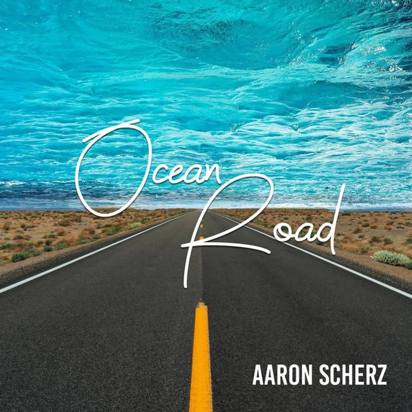 Aaron Scherz