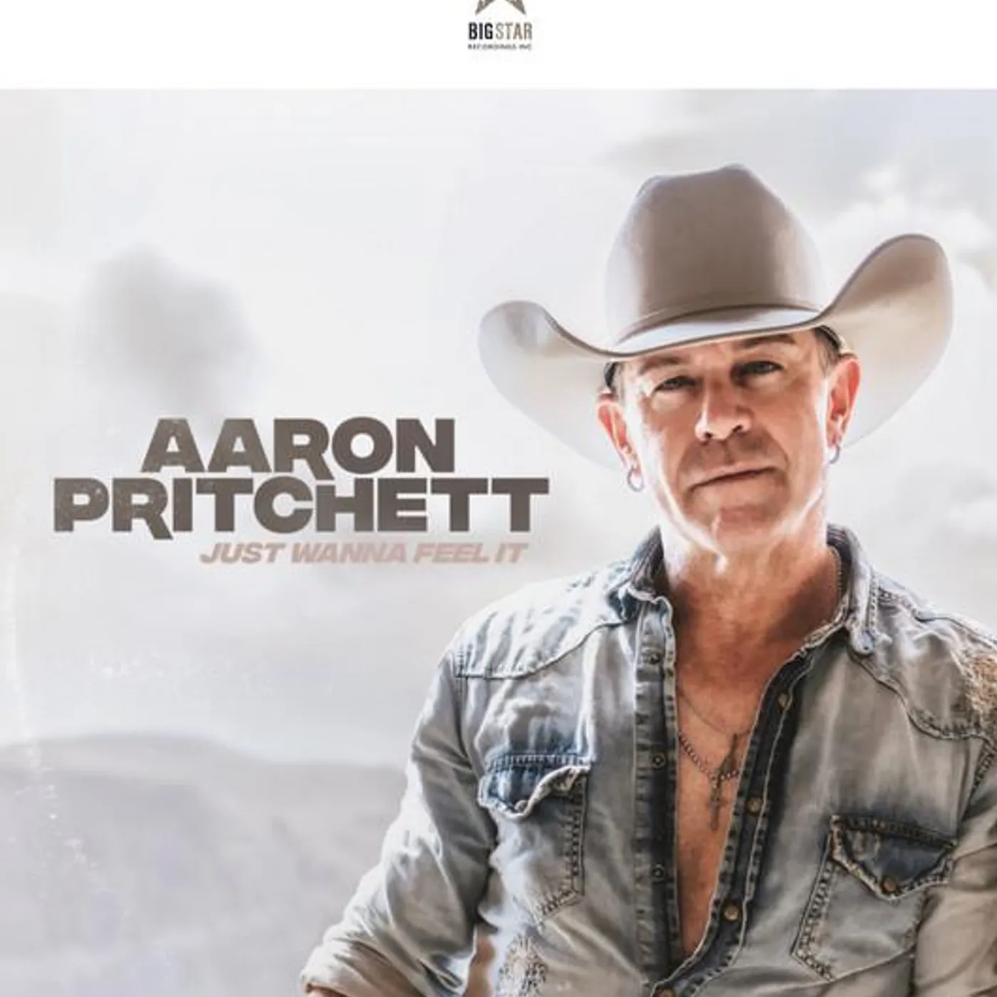 Aaron Pritchett Brand Page