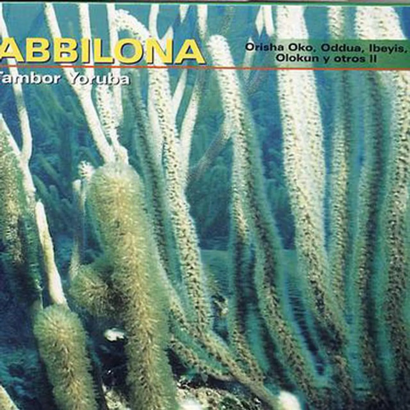 Abbilona, Tambor Yoruba