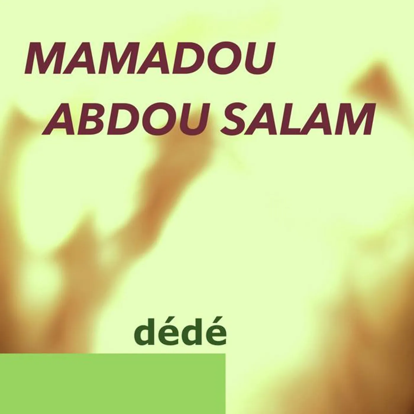 Abdou Salam Mamadou