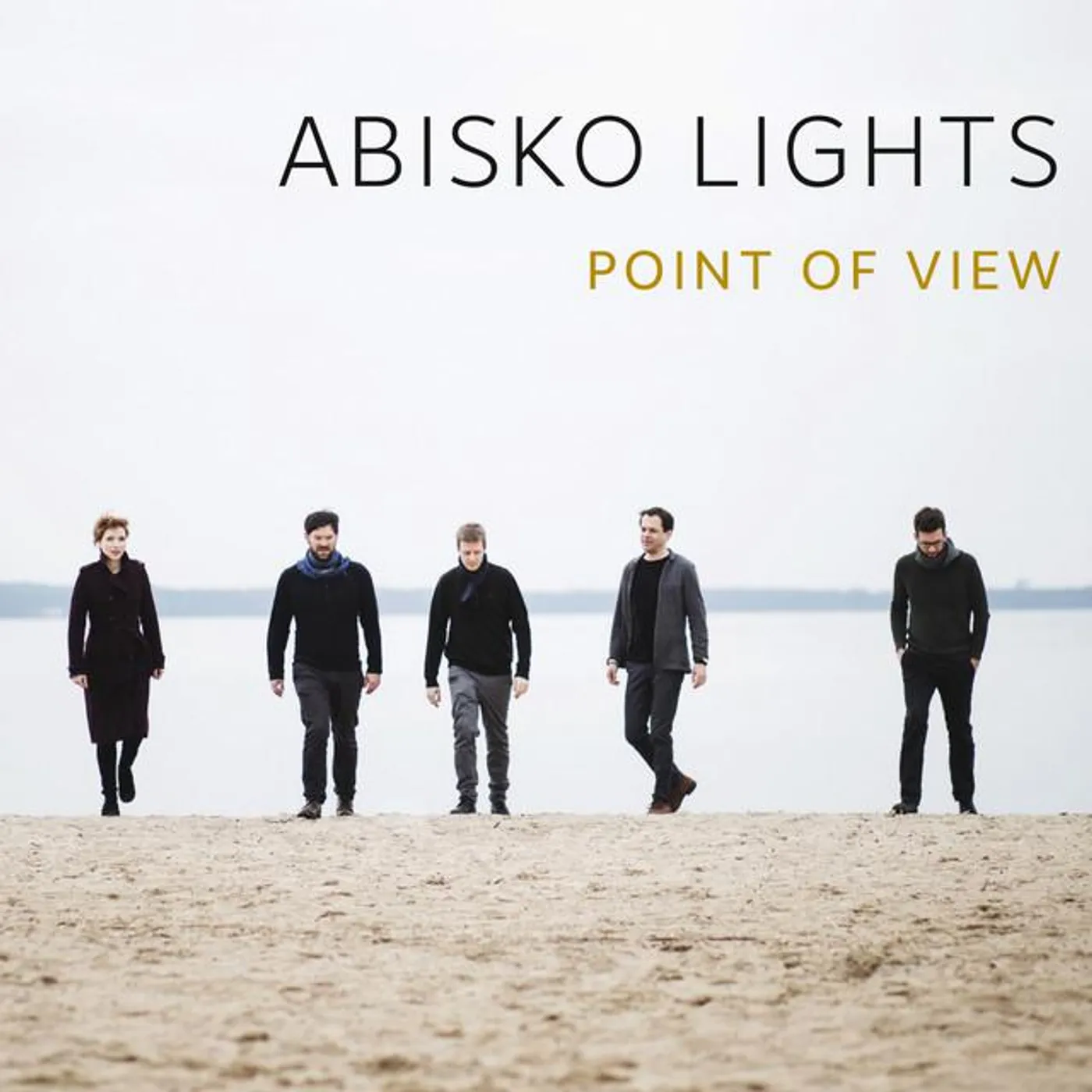 Abisko Lights Brand Page