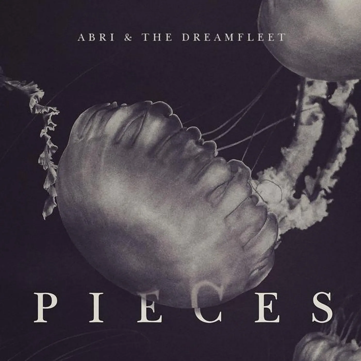 Abri and the Dreamfleet Brand Page