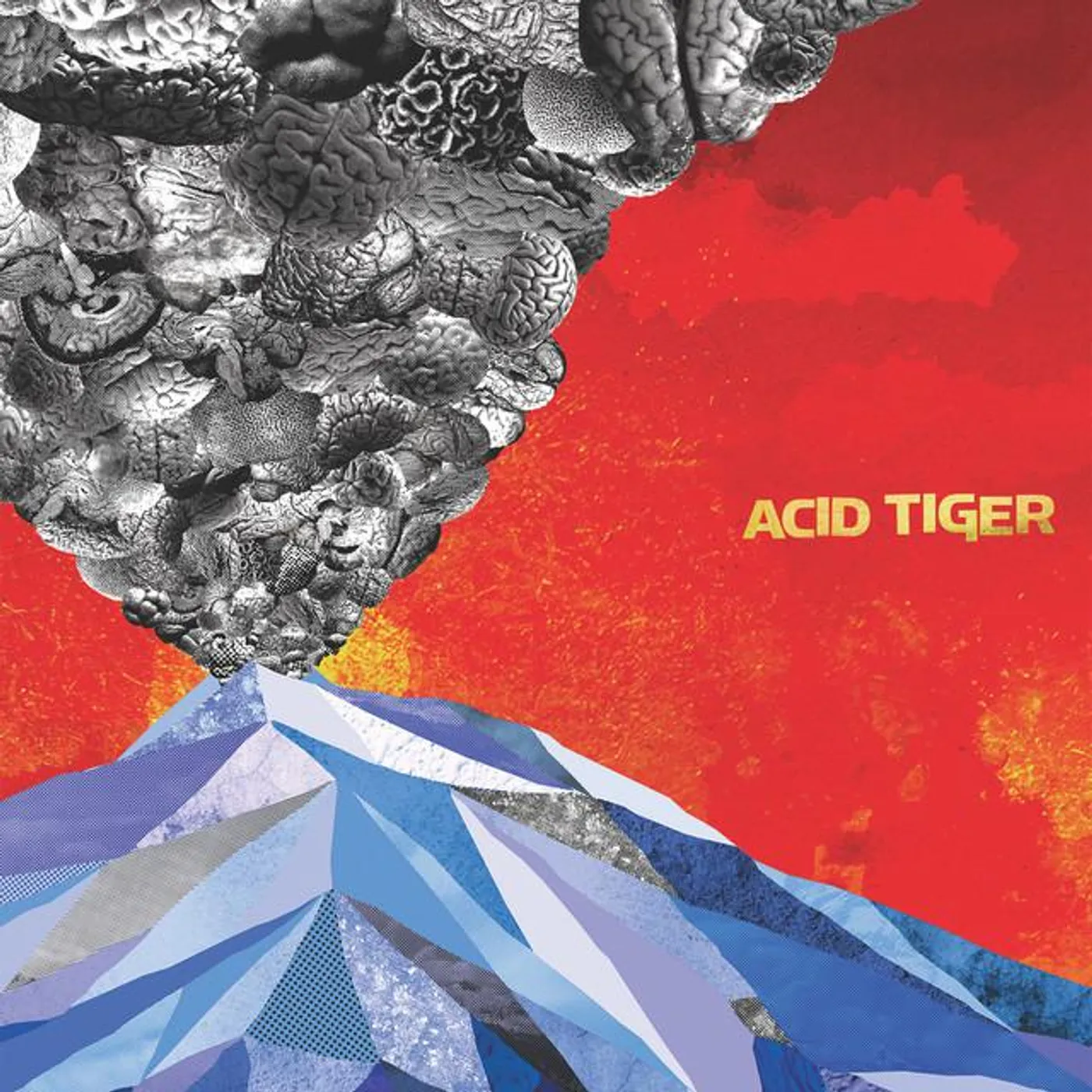 Acid Tiger