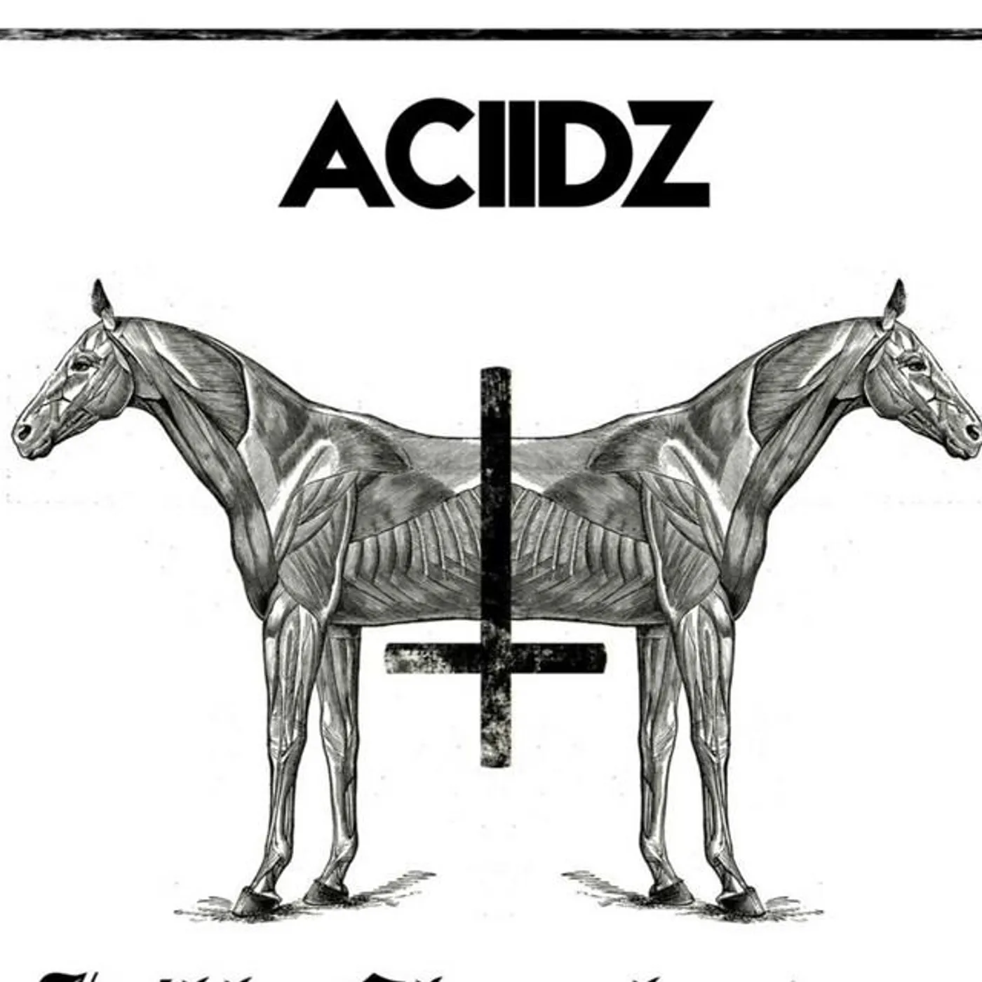 Aciidz Brand Page