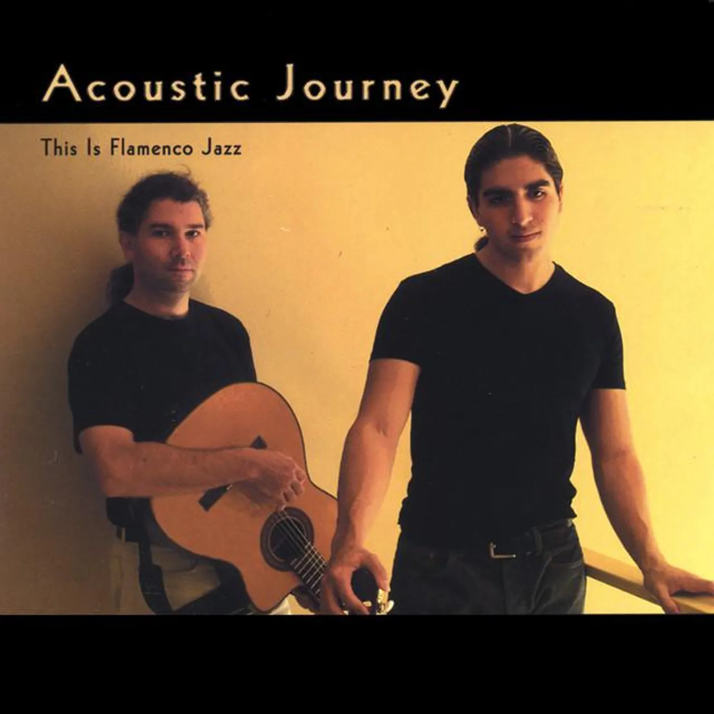 Acoustic Journey Brand Page