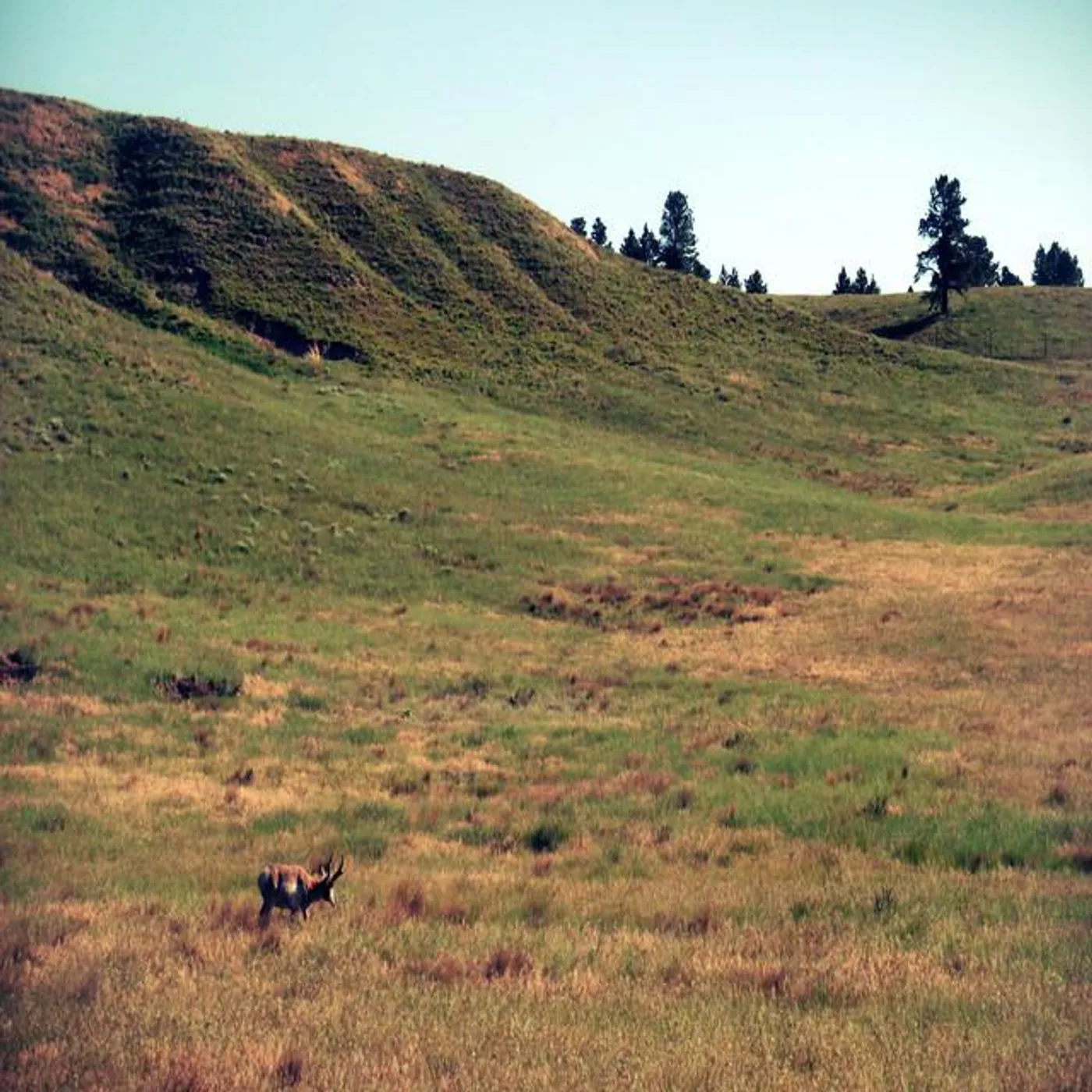 Across Tundras Brand Page