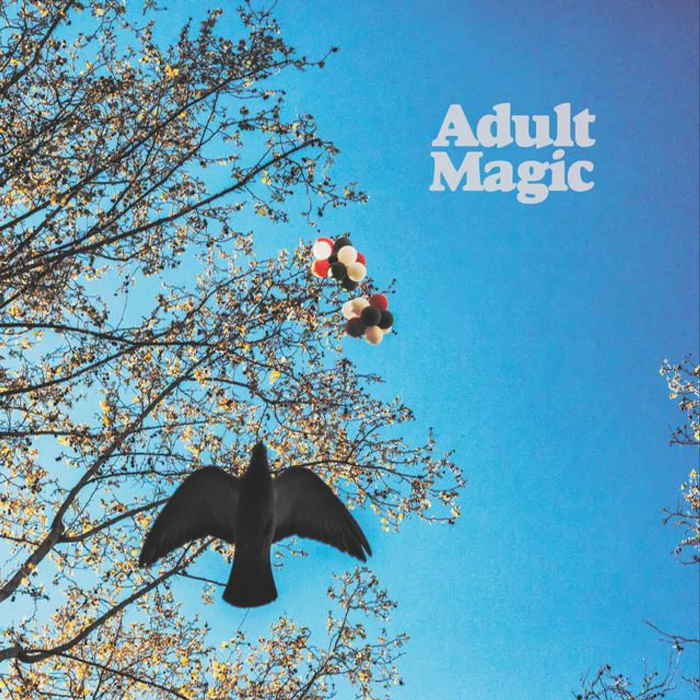 Adult Magic