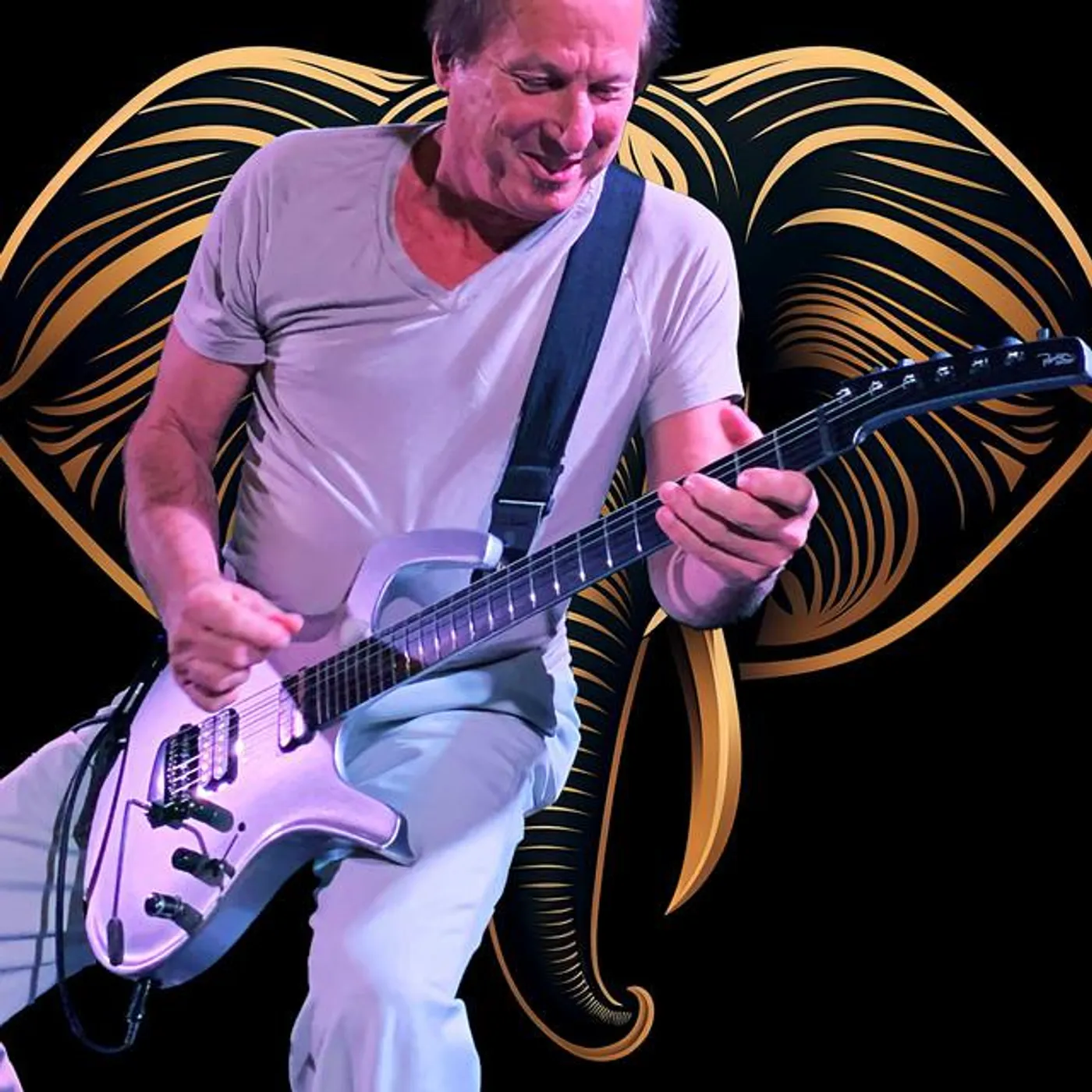 Adrian Belew Brand Page