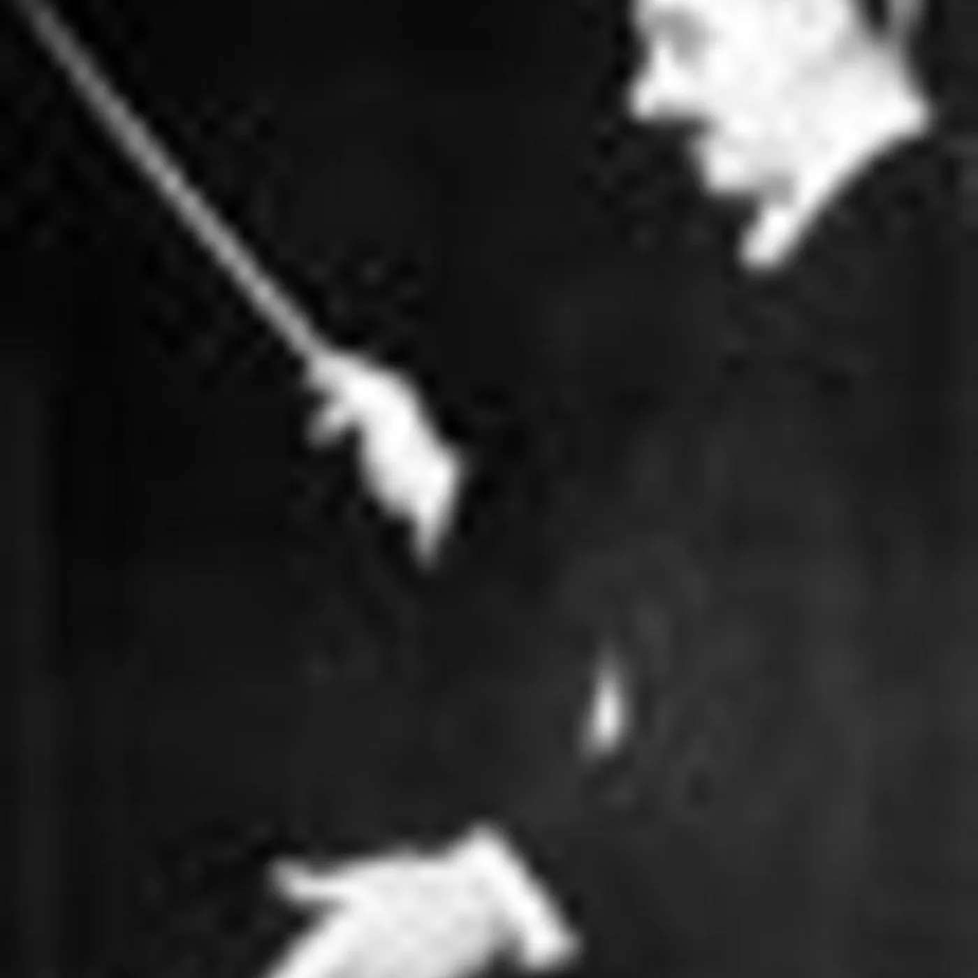 Adrian Boult Brand Page