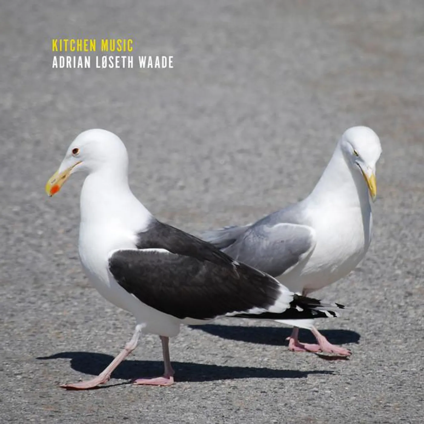 Adrian Løseth Waade