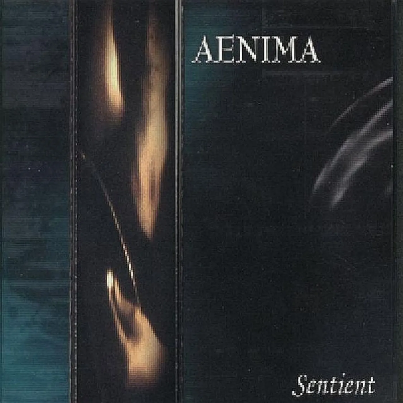 Aenima