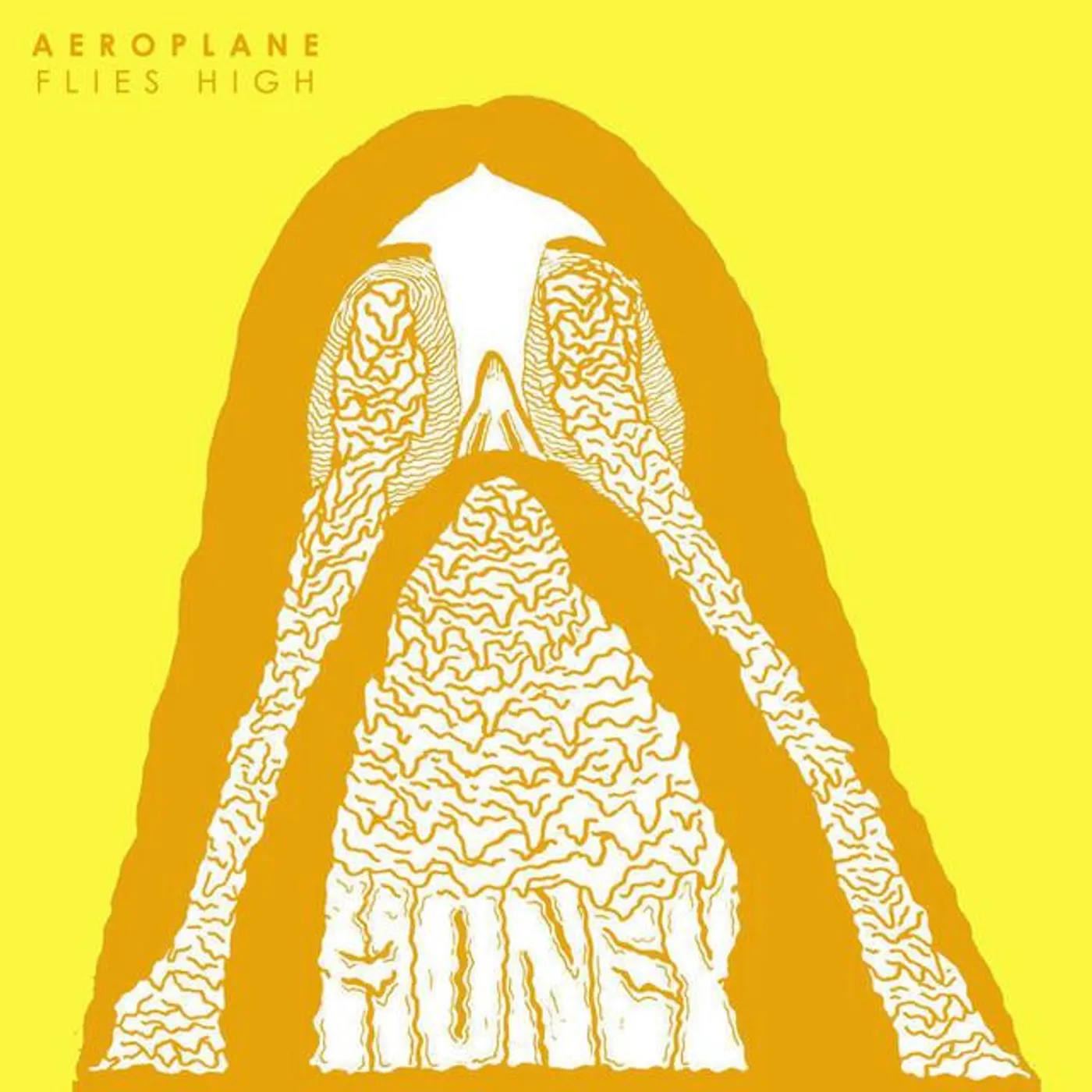 Aeroplane Flies High Brand Page