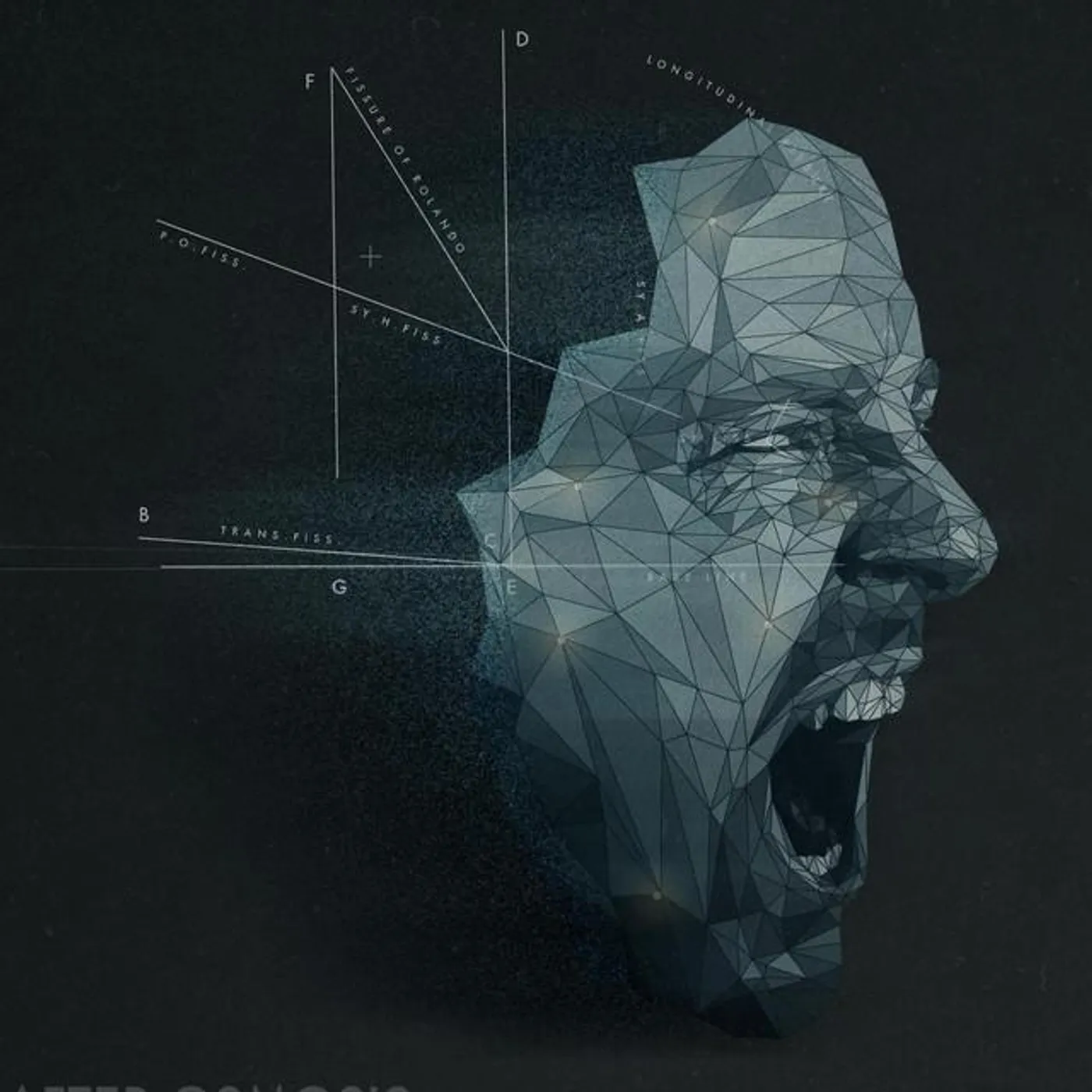 After Osmosis Brand Page