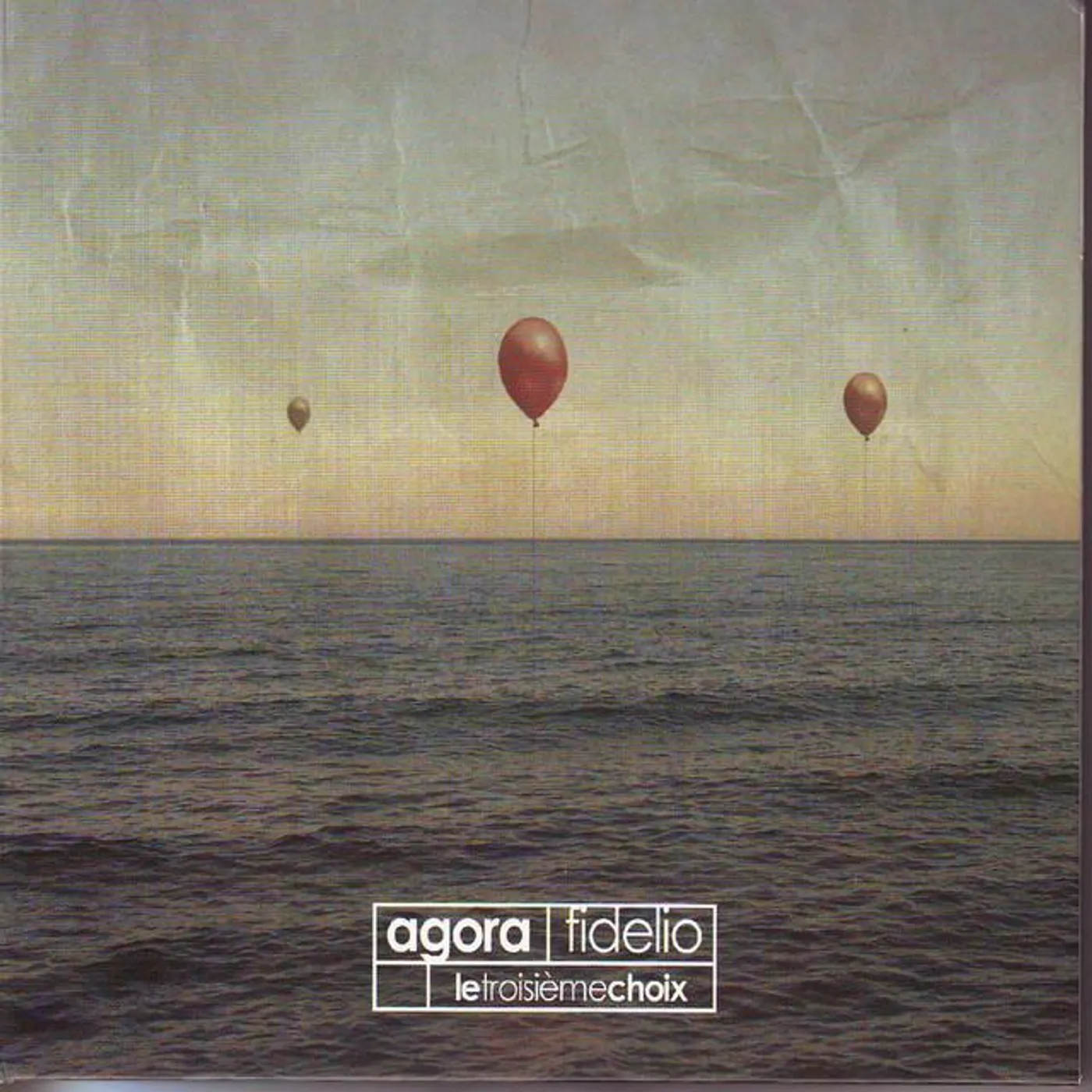 Agora Fidelio Brand Page