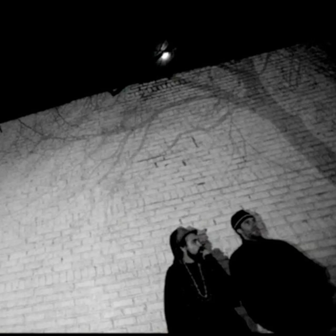 Air 2 A Bird Brand Page