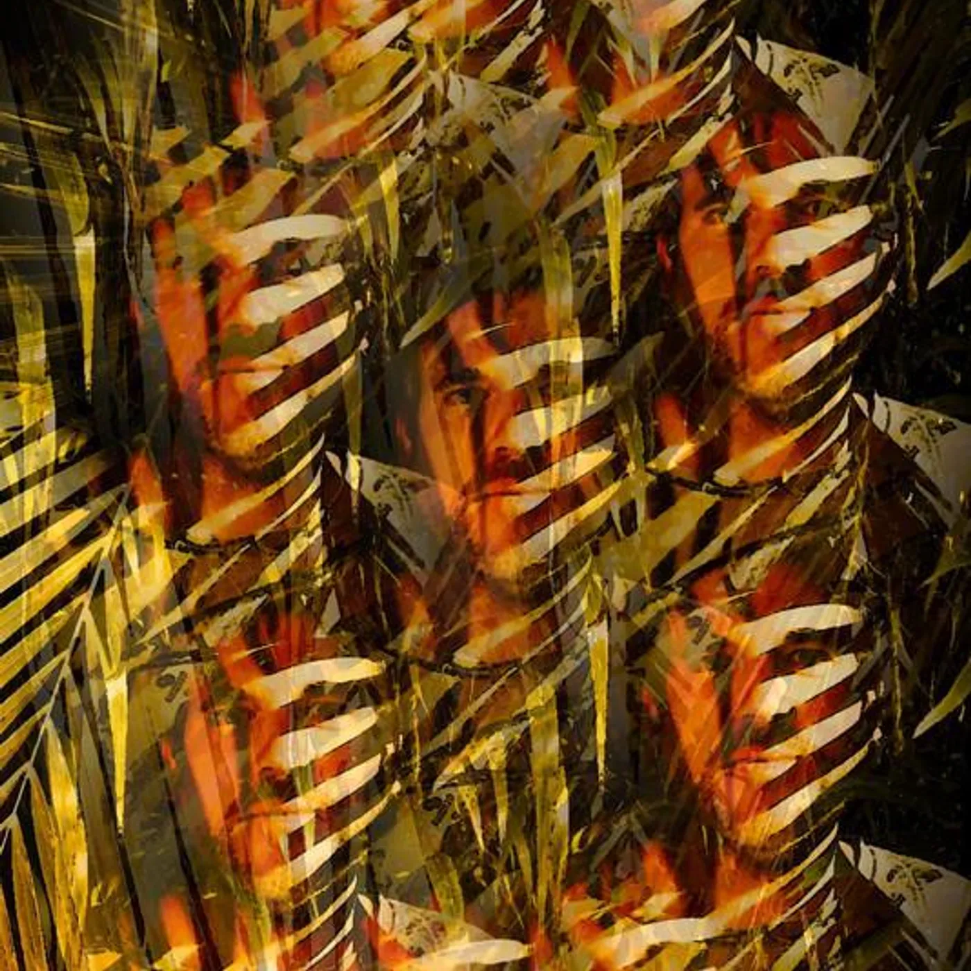 Akasha System Brand Page