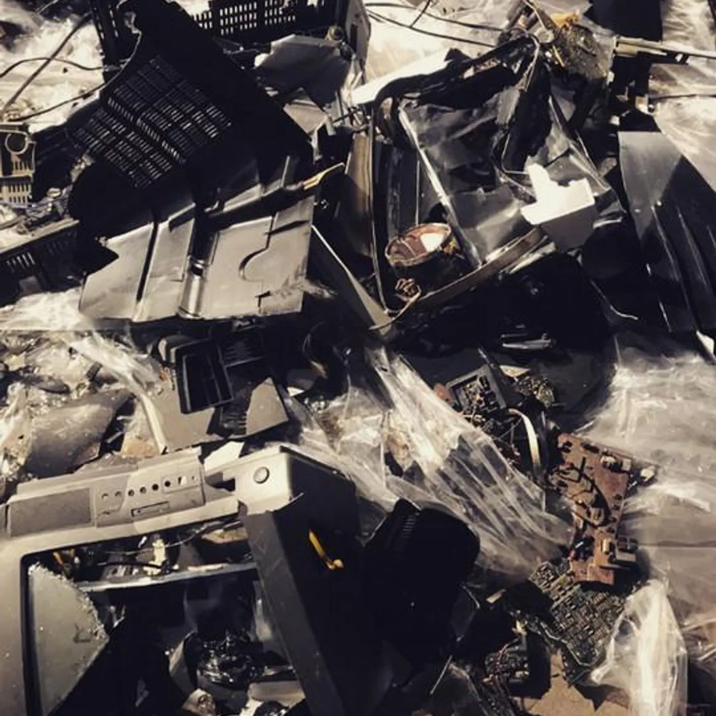 alt of the society Brand Page