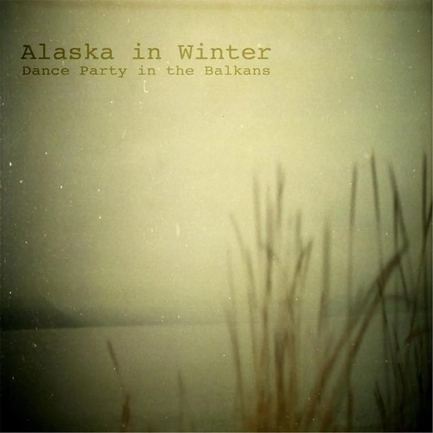 Alaska In Winter Brand Page