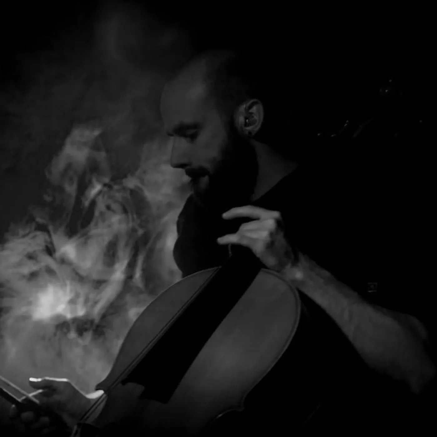 Alder & Ash Brand Page