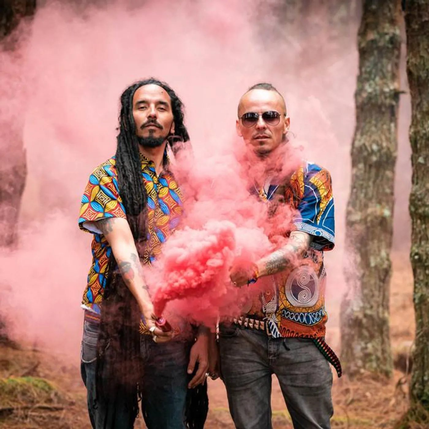 Alerta Kamarada Brand Page