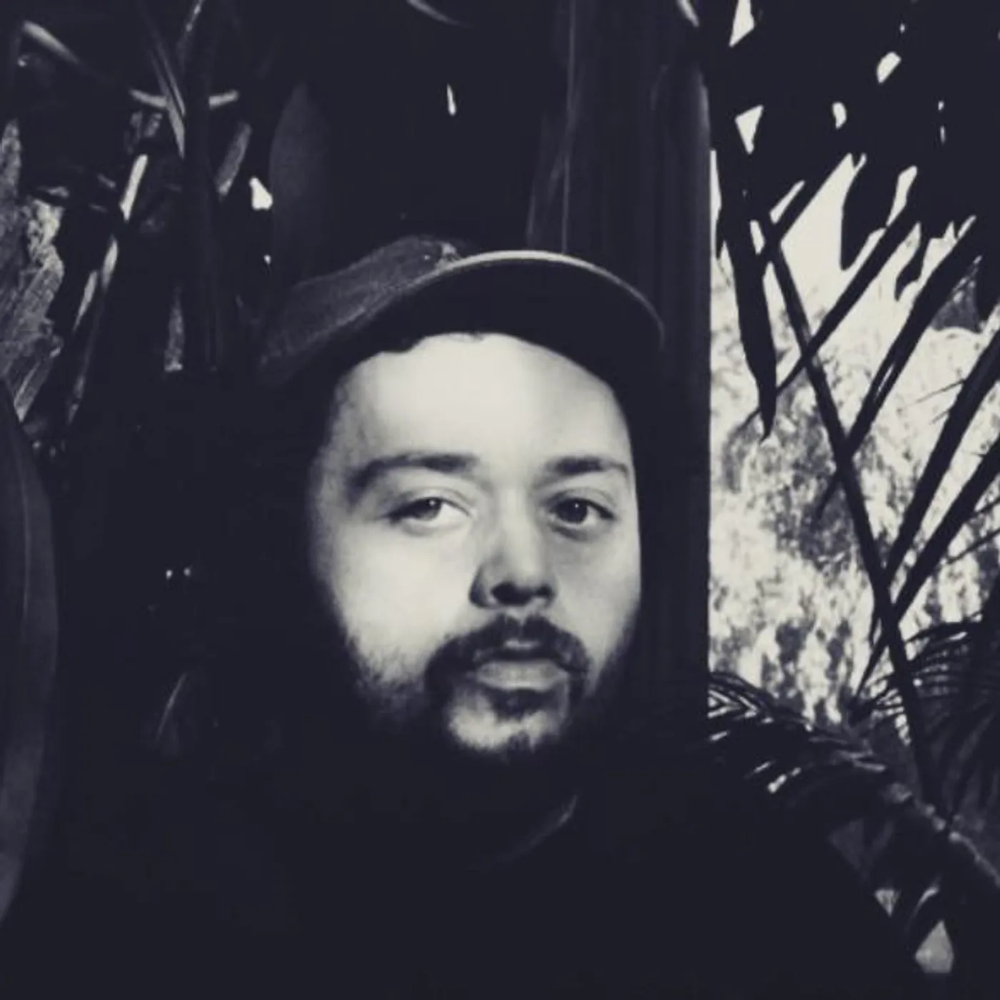 Alex Wiley Brand Page