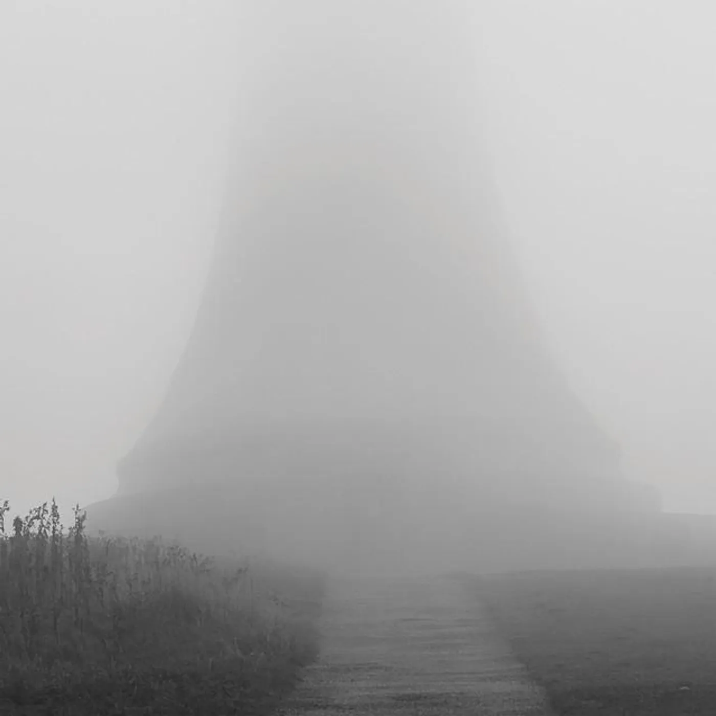 Alex Cobb Brand Page