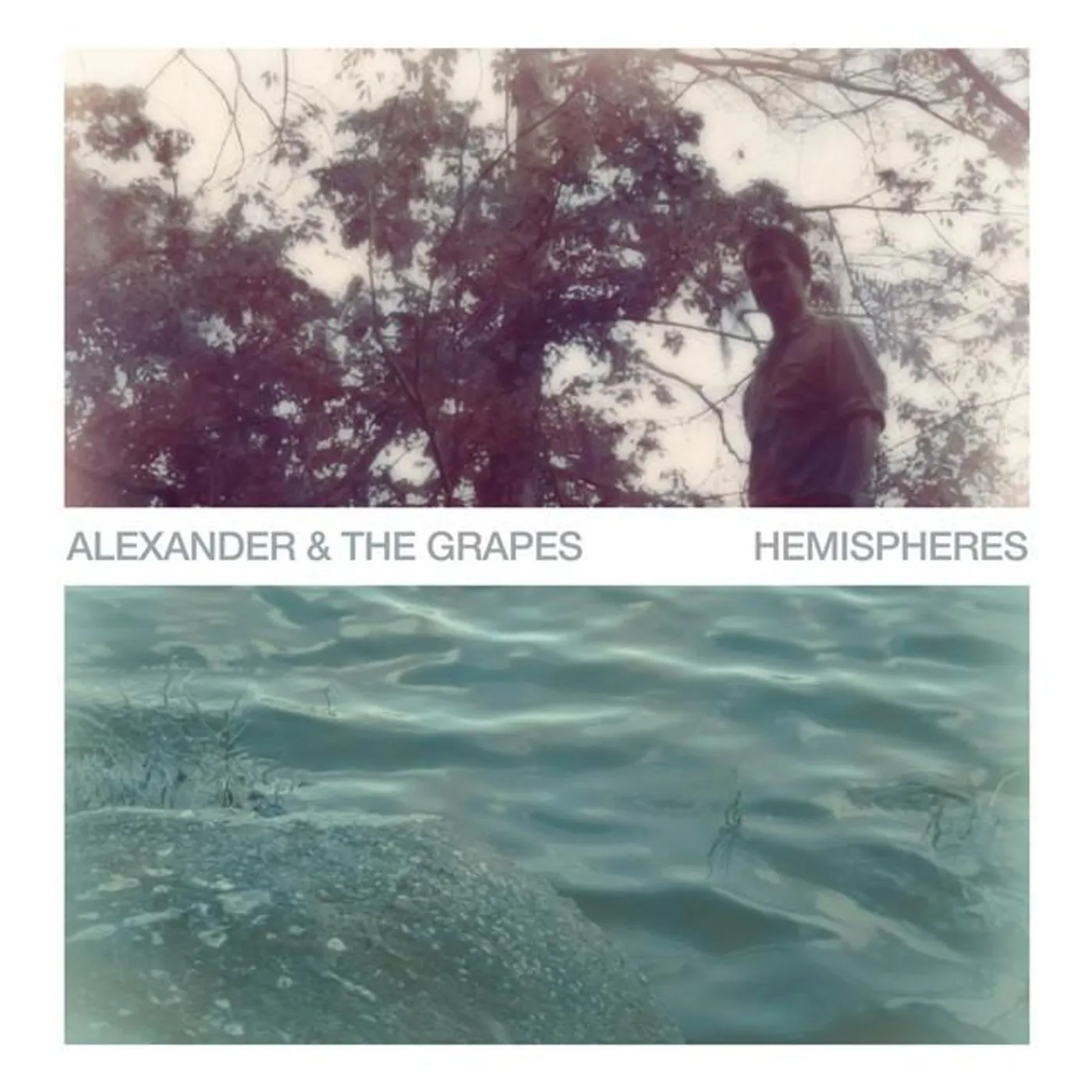 Alexander & The Grapes