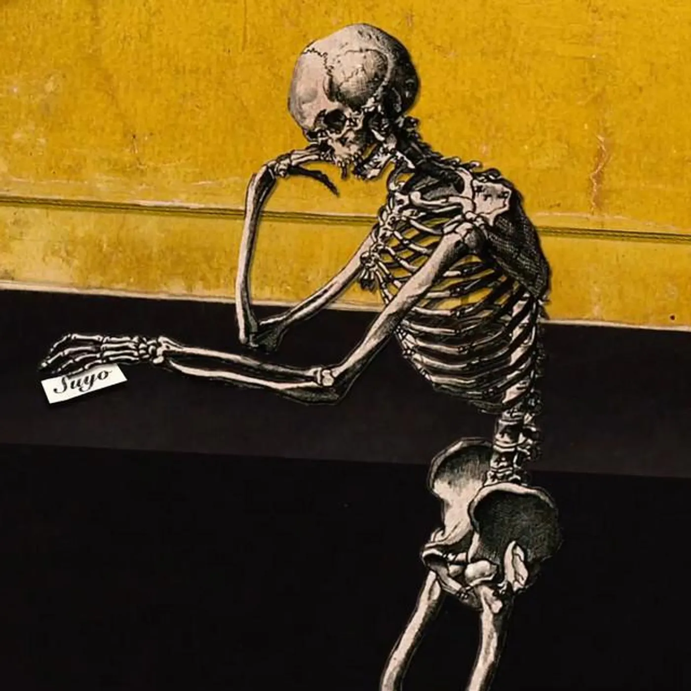 Alexanderplatz Brand Page