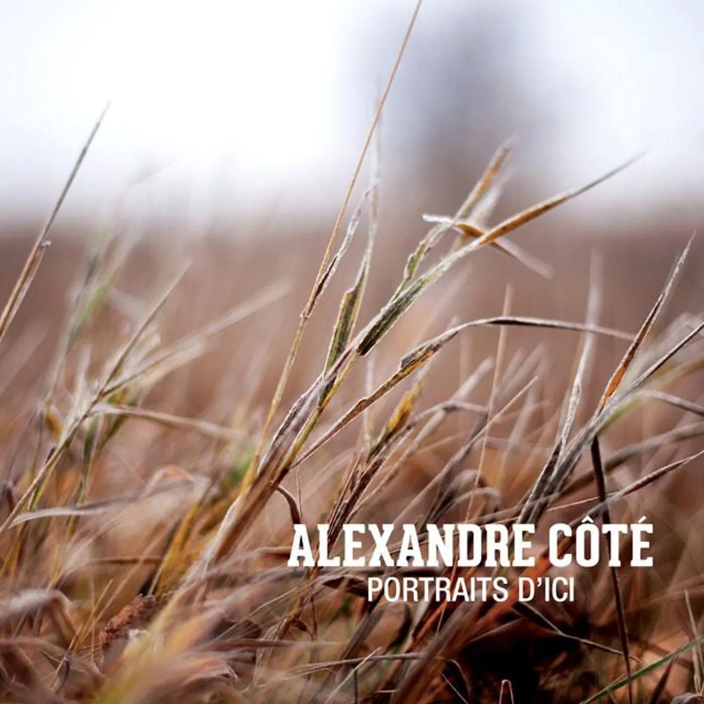 Alexandre Cote Brand Page