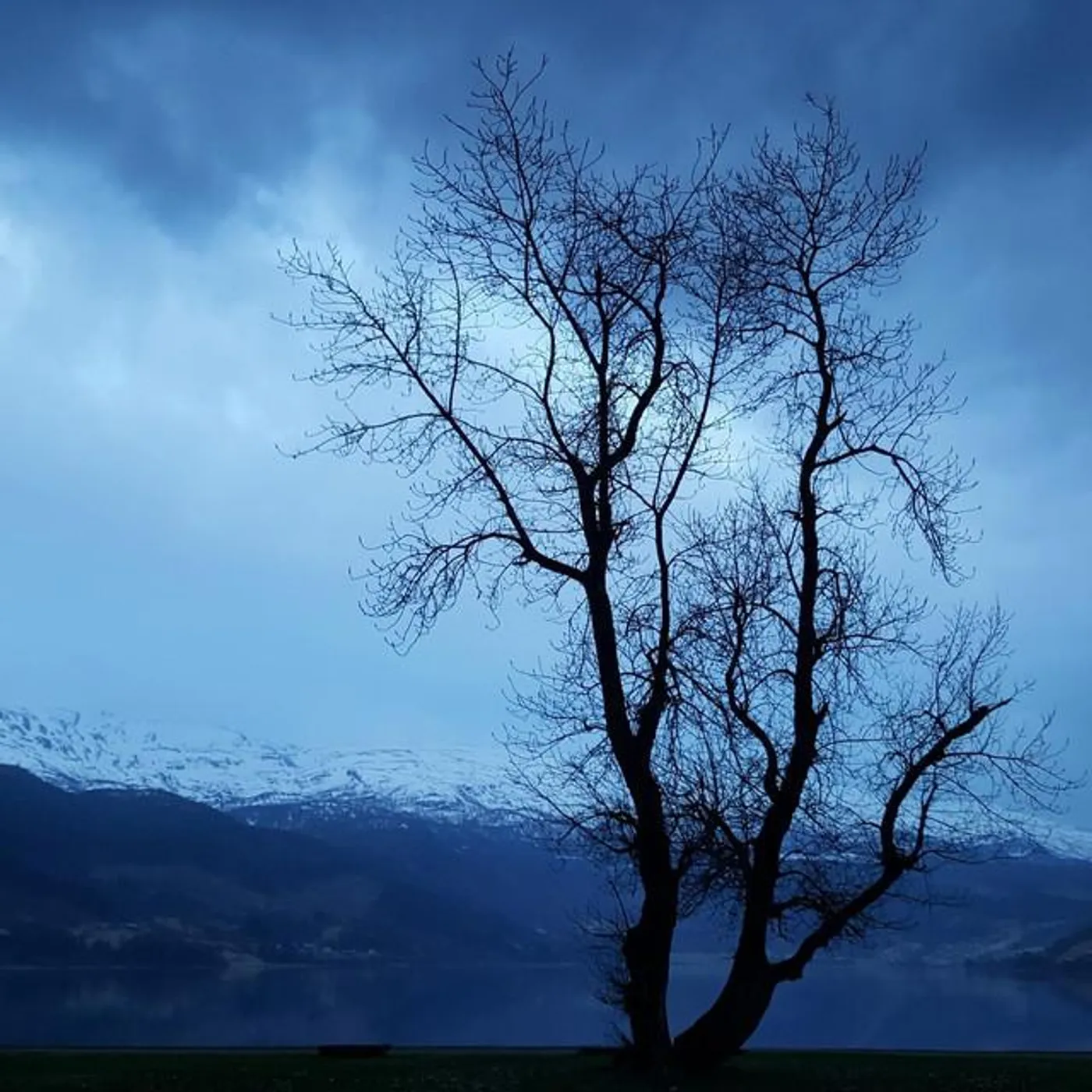 Alexi Tuomarila Brand Page