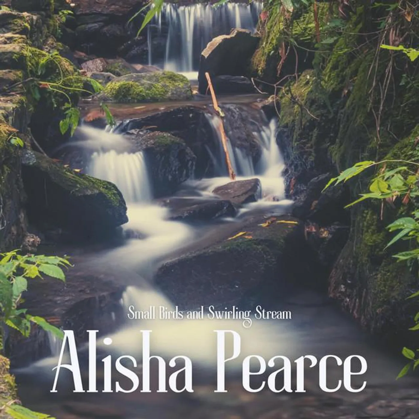 Alisha Pearce Brand Page