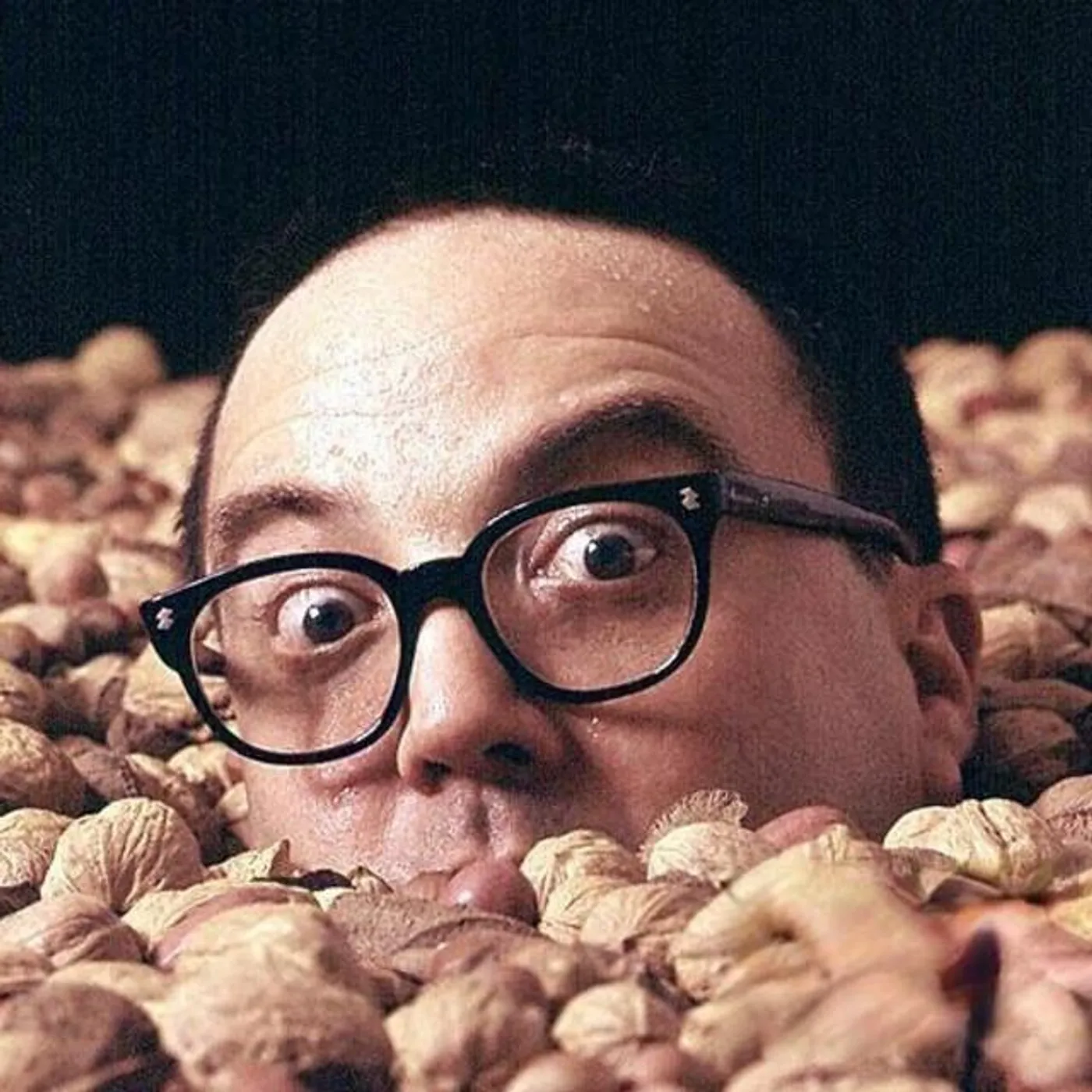 Allan Sherman Brand Page