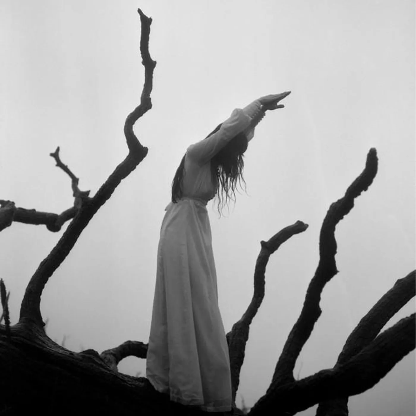 Allison Lorenzen Brand Page