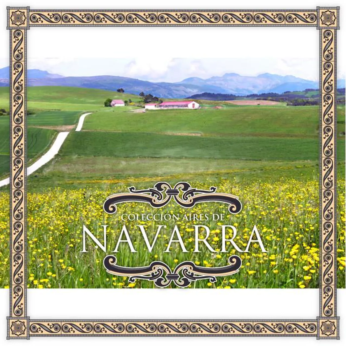 Alma Navarra