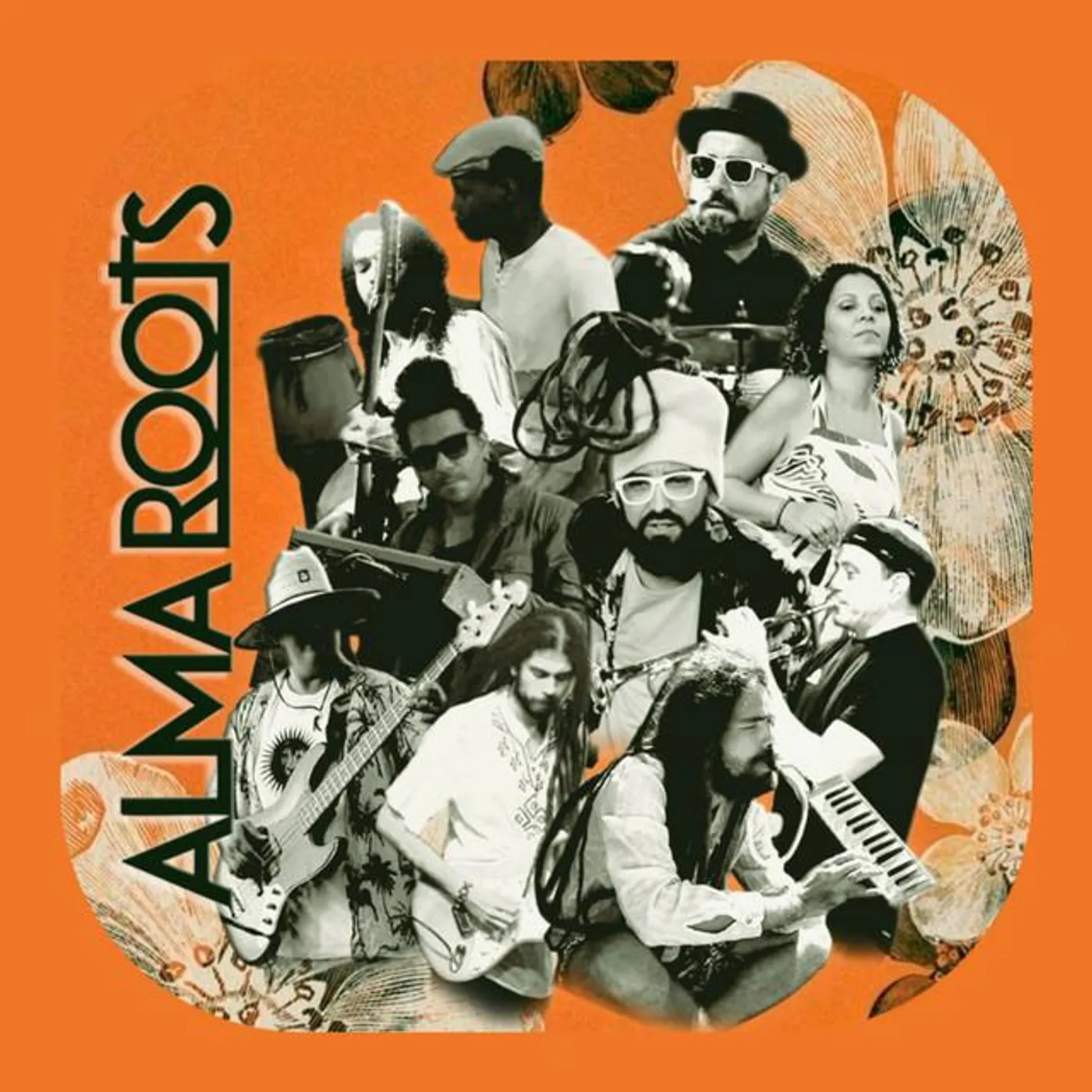 Alma Roots