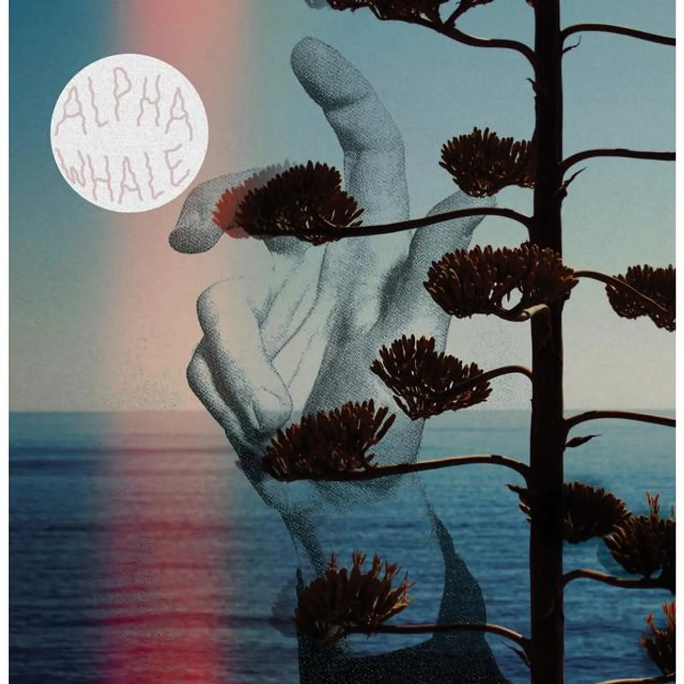 Alpha Whale Brand Page