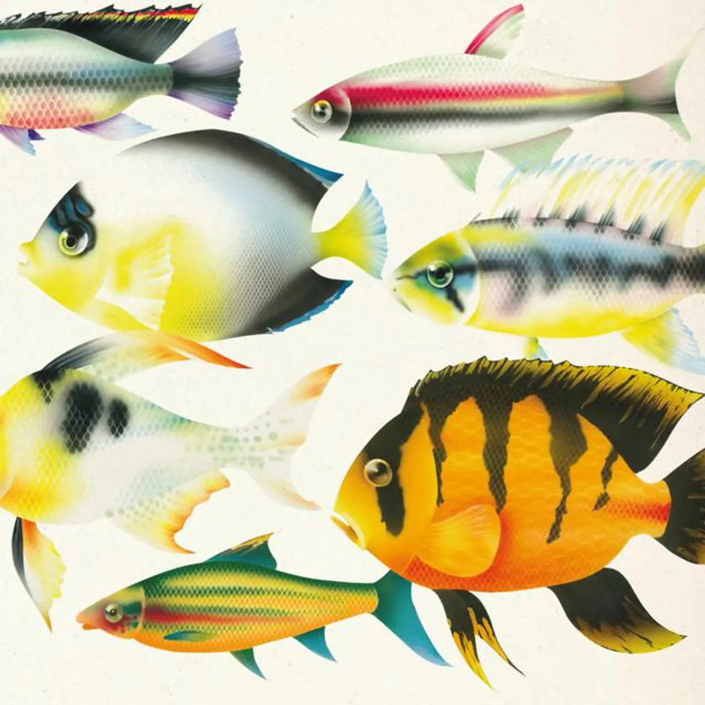 Apiento & Co Brand Page