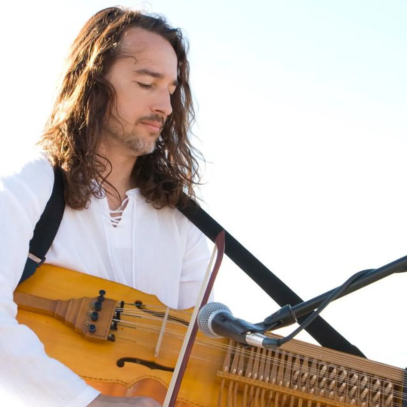 Aryeh Frankfurter Brand Page