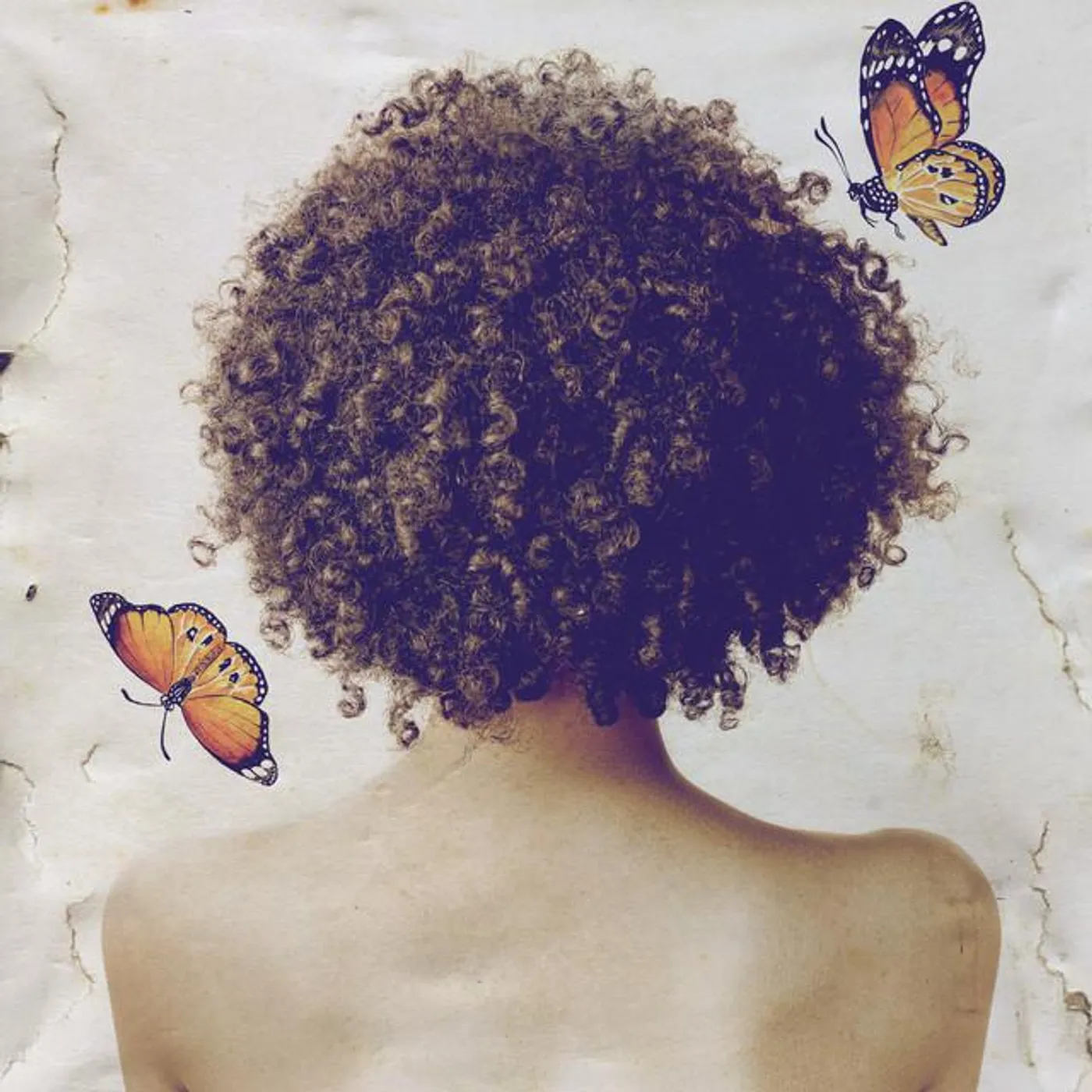 Aracy Carvalho Brand Page