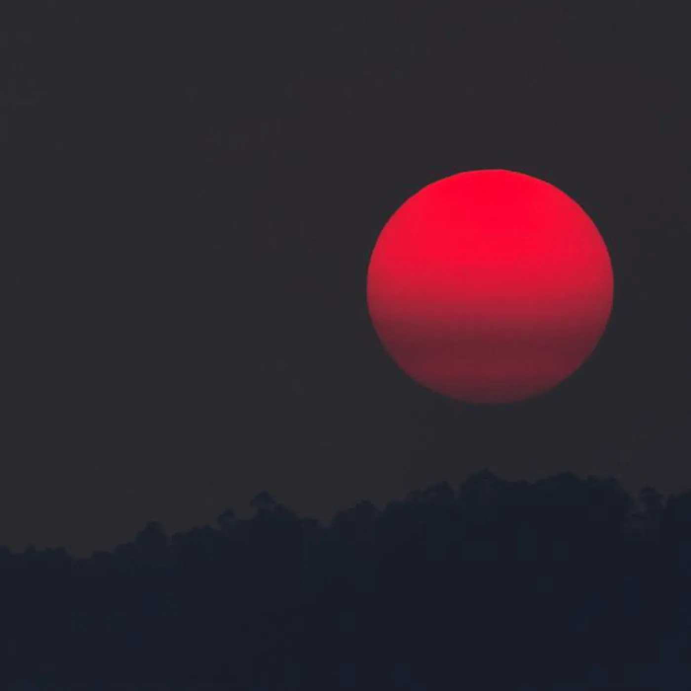 Arcade Skies Brand Page