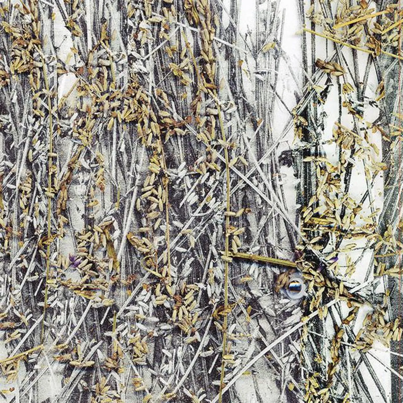 Arkm Foam Brand Page