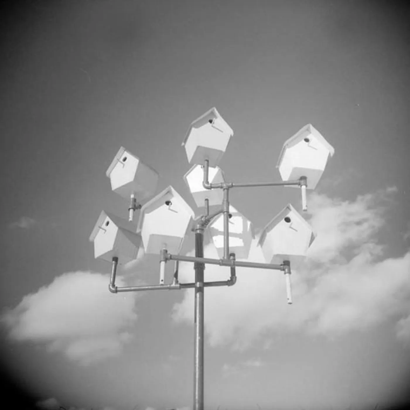 As The Poets Affirm Brand Page