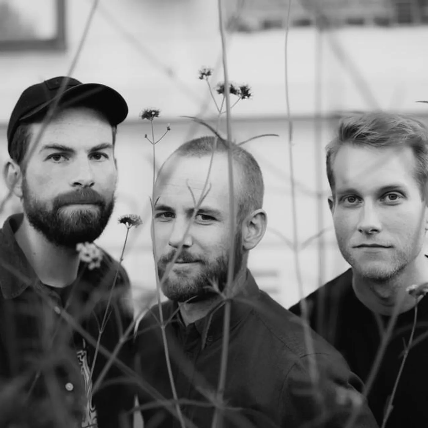 Astrosaur Brand Page