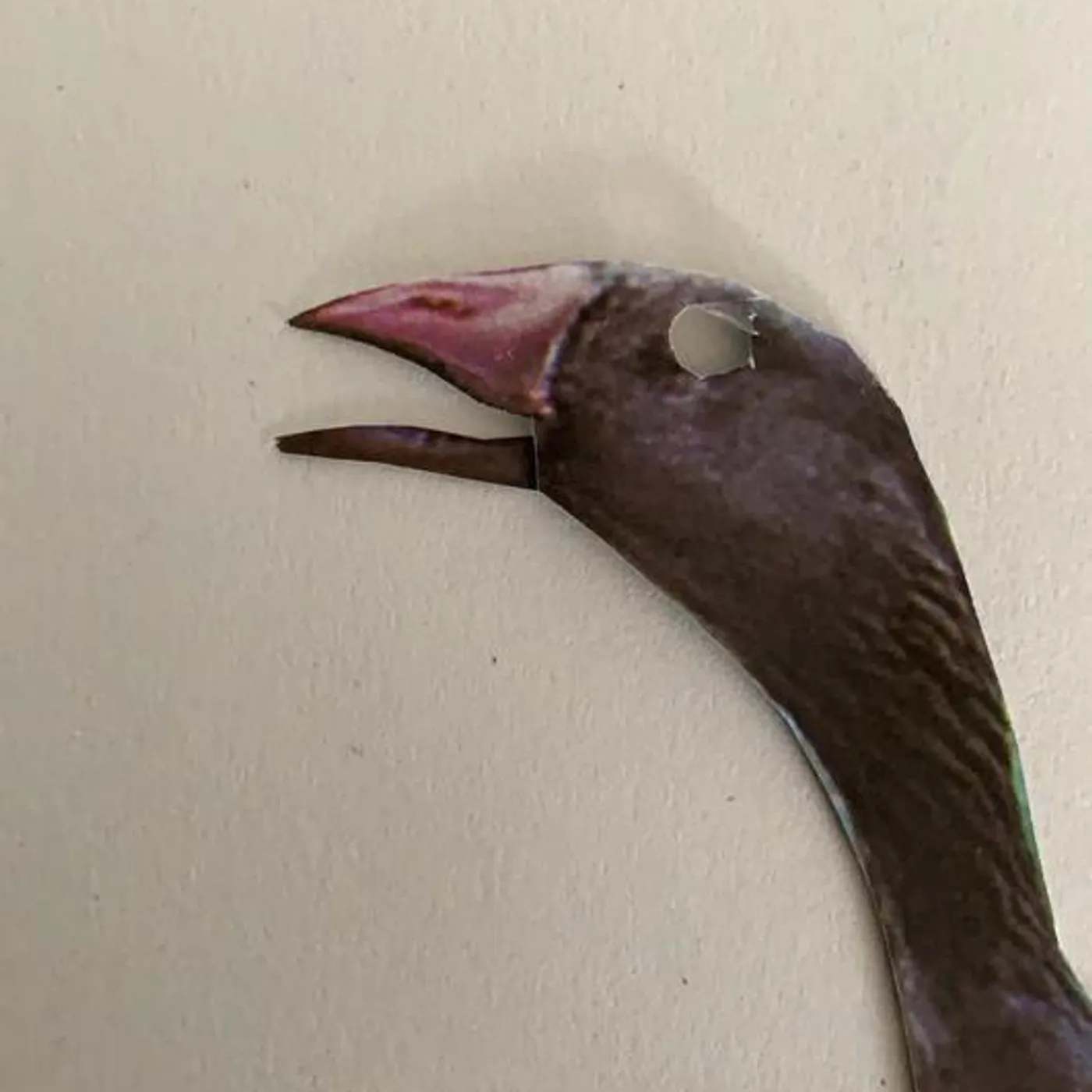 Astral Swans Brand Page