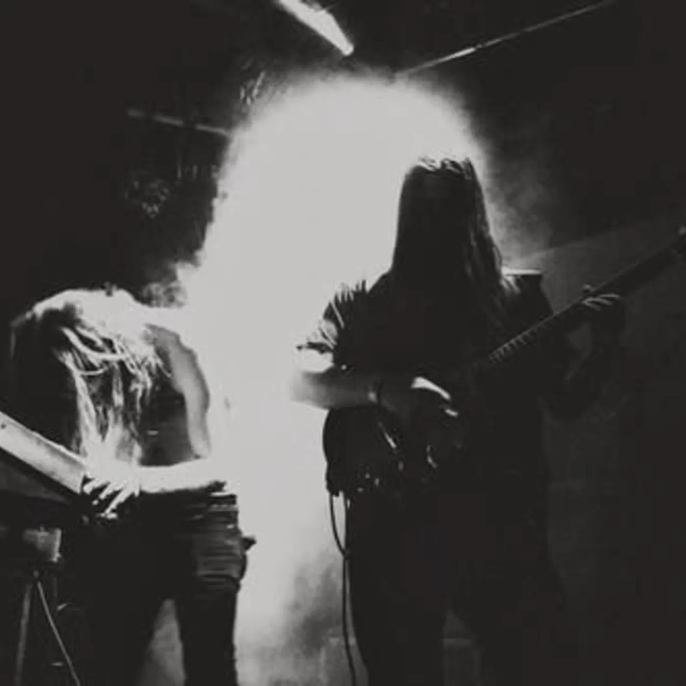 Ash Borer Brand Page