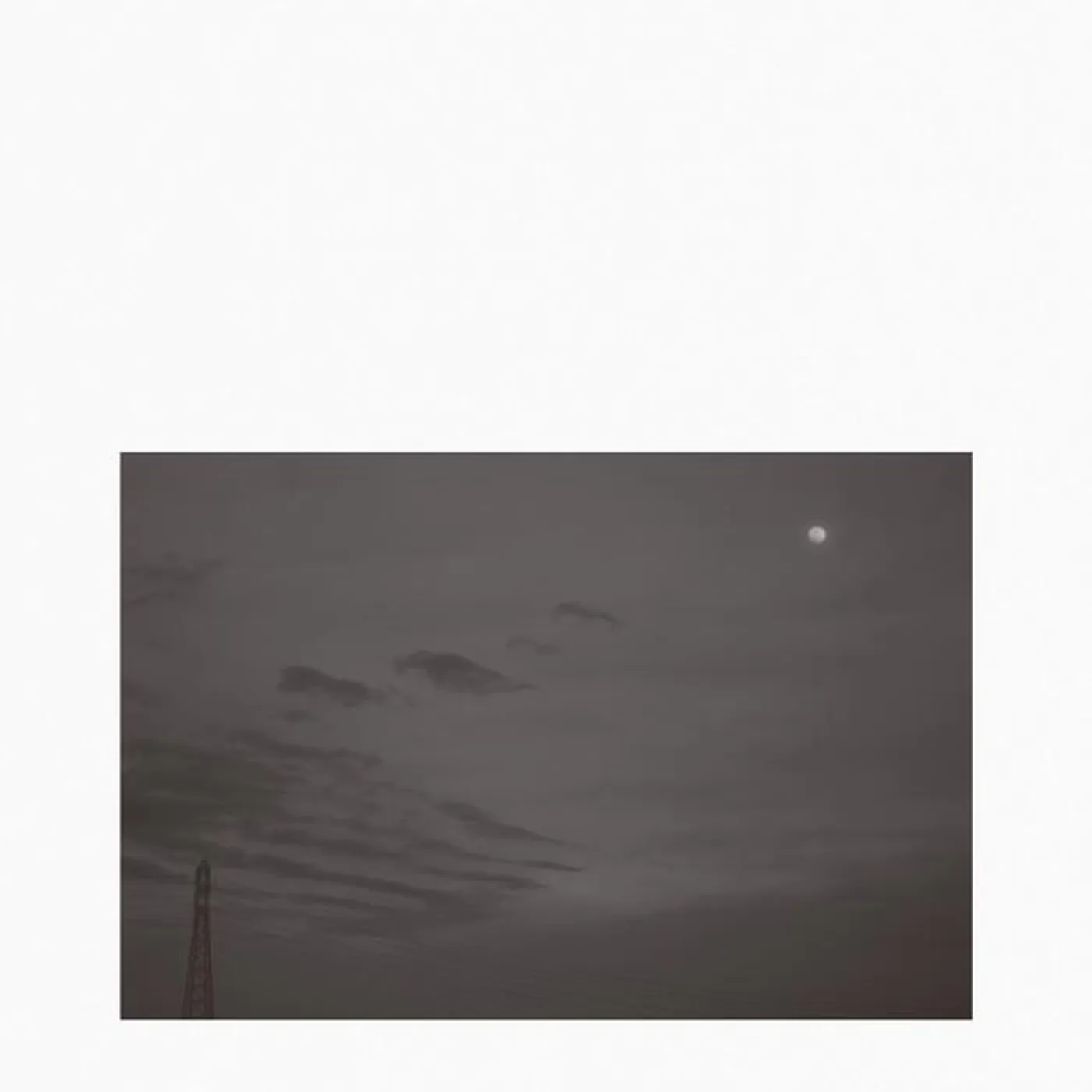 Asher Tuil Brand Page