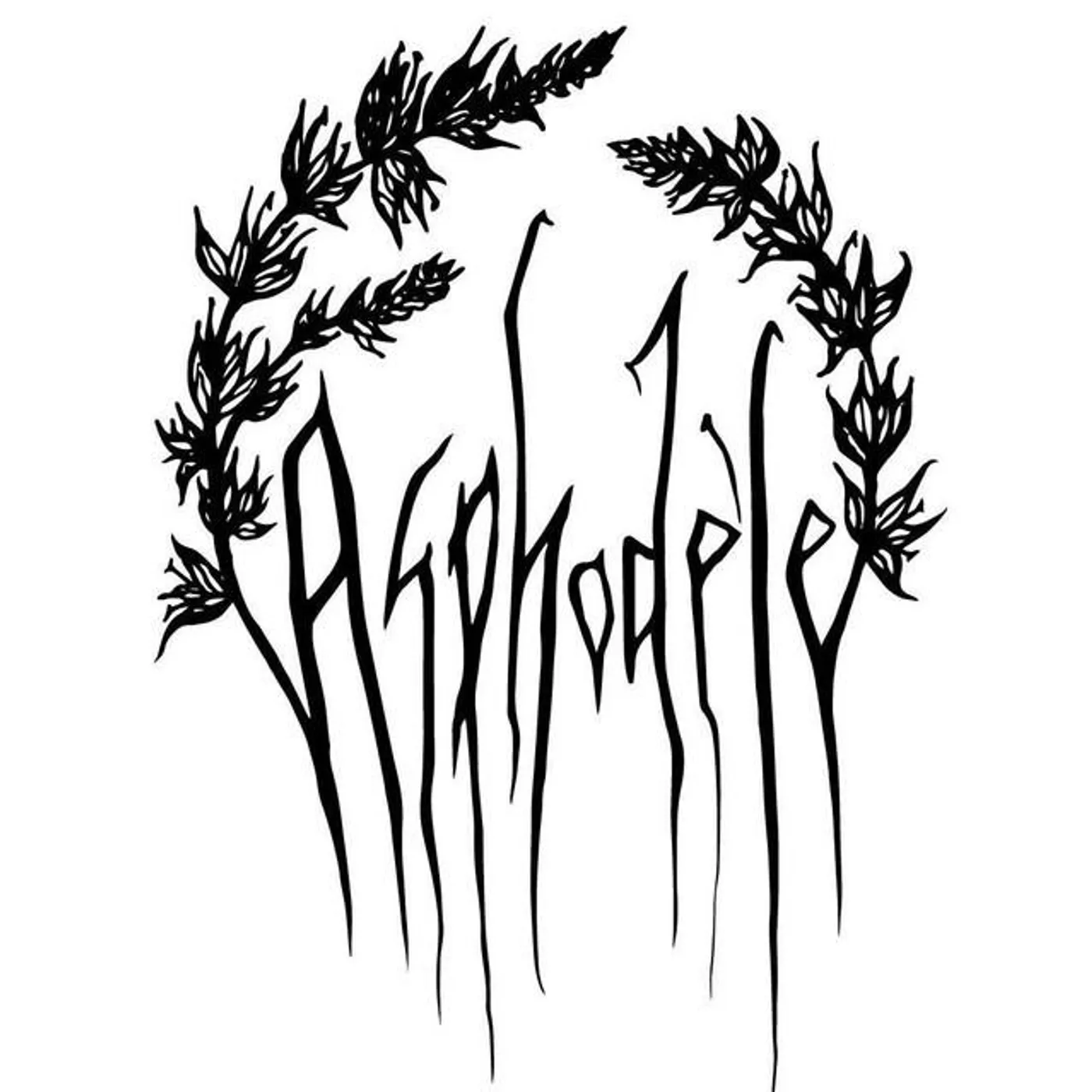 Asphodèle Brand Page