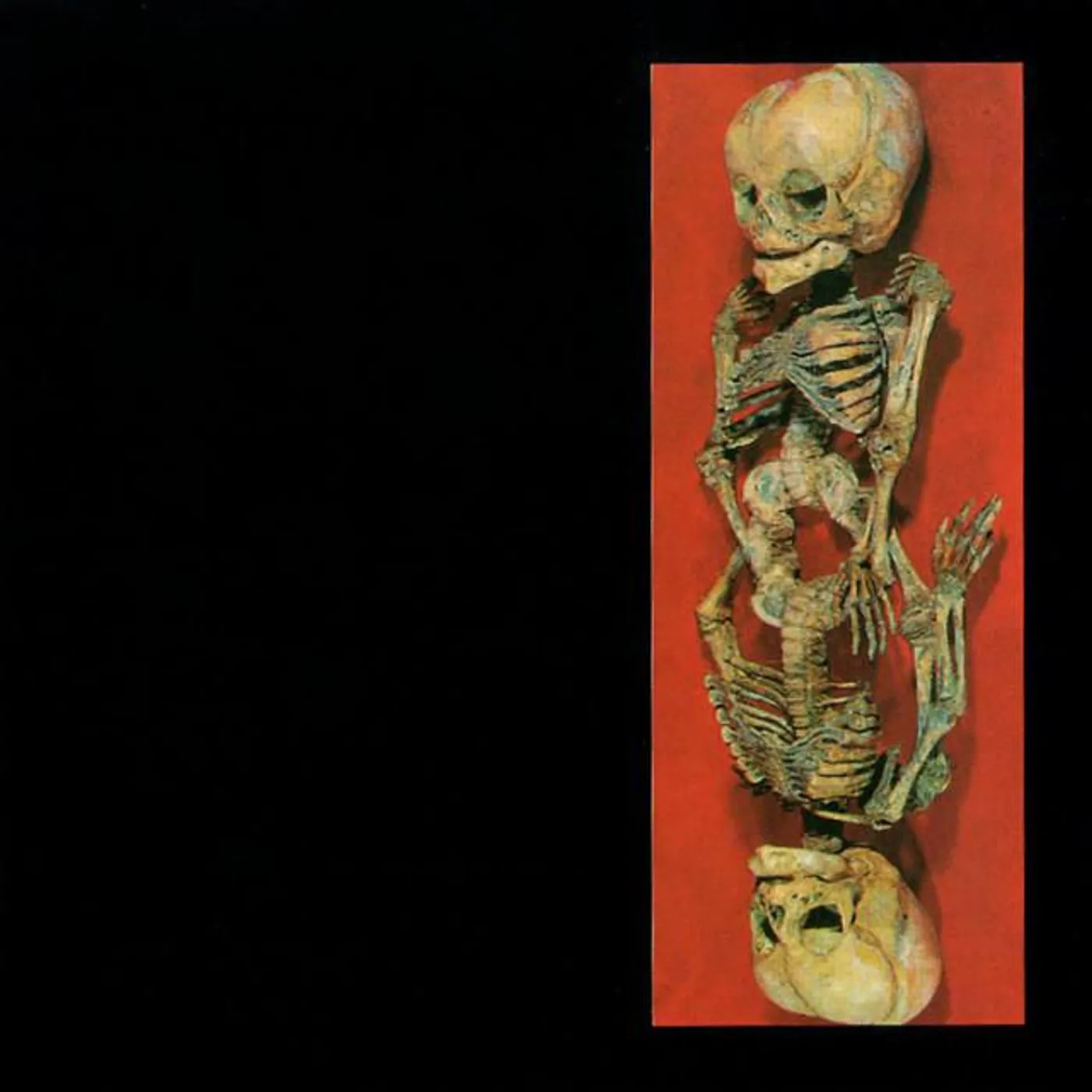 Atom Infant Incubator