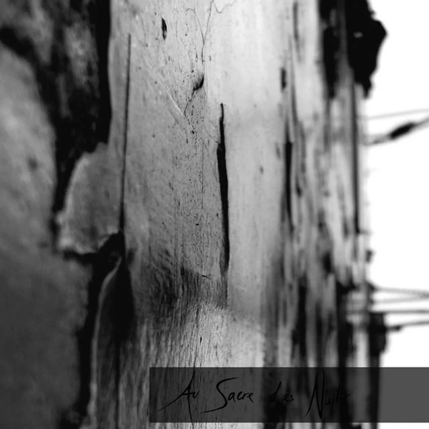 Au Sacre des Nuits Brand Page