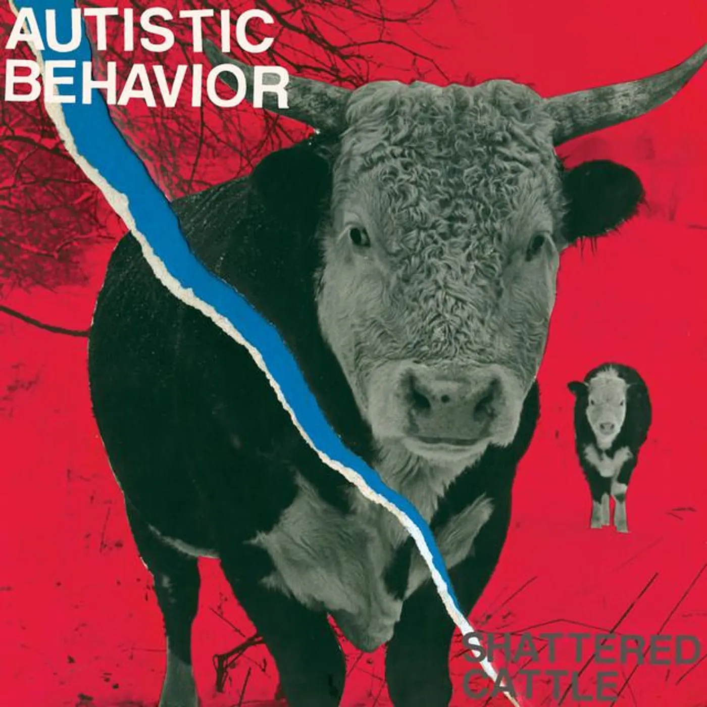 Autistic Behavior
